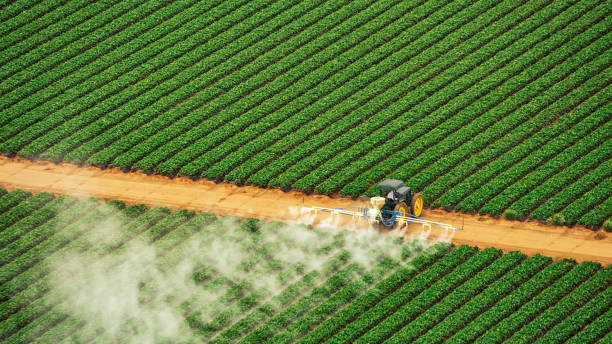 Best Best Pest Control Companies  in Dyer, IN