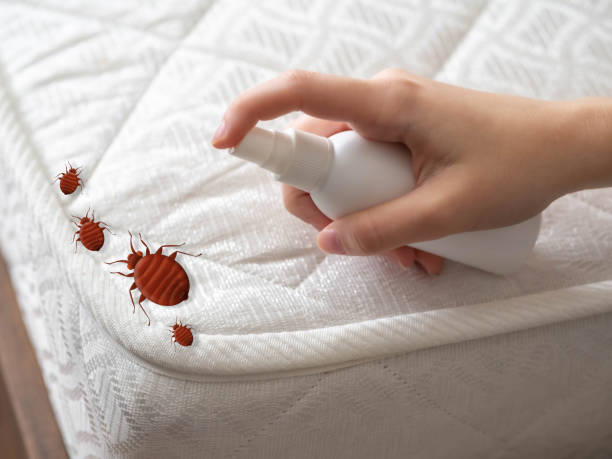 Best Affordable Pest Control Services  in Dyer, IN