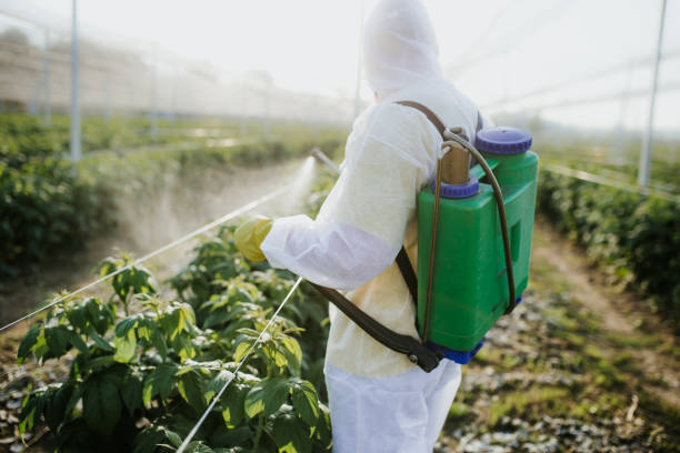 Reliable Dyer, IN Pest Control Solutions
